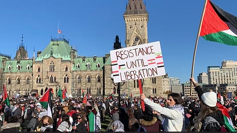 Pro-Palestinian demonstrators