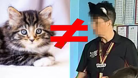 CATWOMAN: Aussie teacher who identifies as a furry caught licking students