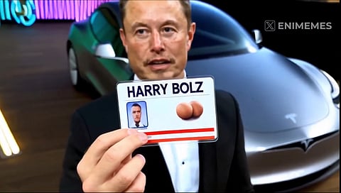 The name is Bōlz. Harry Bōlz. Aka: Elon
 