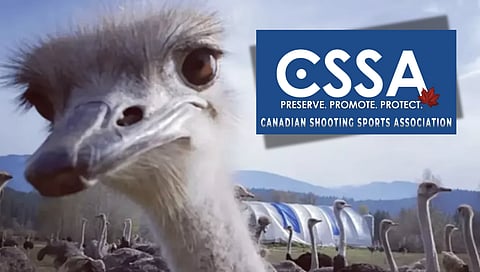 Universal Ostrich Farm