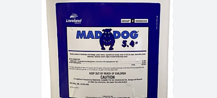 Mad Dog Plus