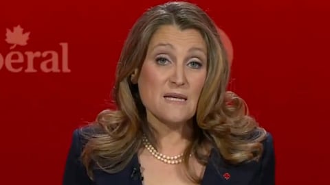 During last night Liberal leadership debate, candidate Chrystia Freeland introduced the idea of building a nuclear-armed, new world order to confront US President Donald Trump