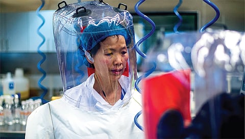 Dr. Zheng-Li Shi, infamous as the “bat woman” due to her excursions to western China to collect bats and isolated their viruses for “gain-of-function” research backed by Western funding. 