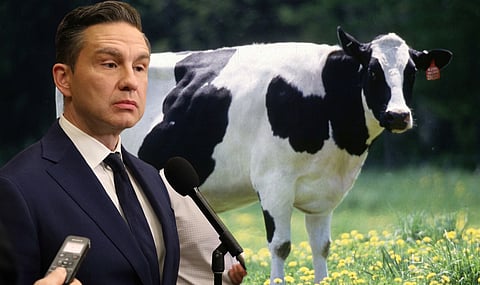 Conservative leader Pierre Poilievre