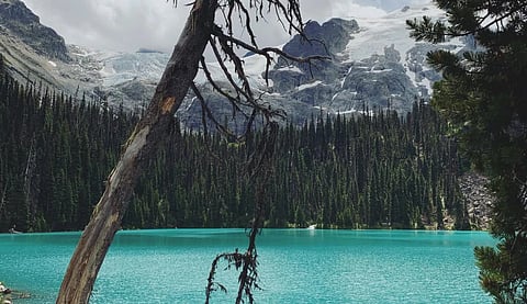 Joffre Lakes Park