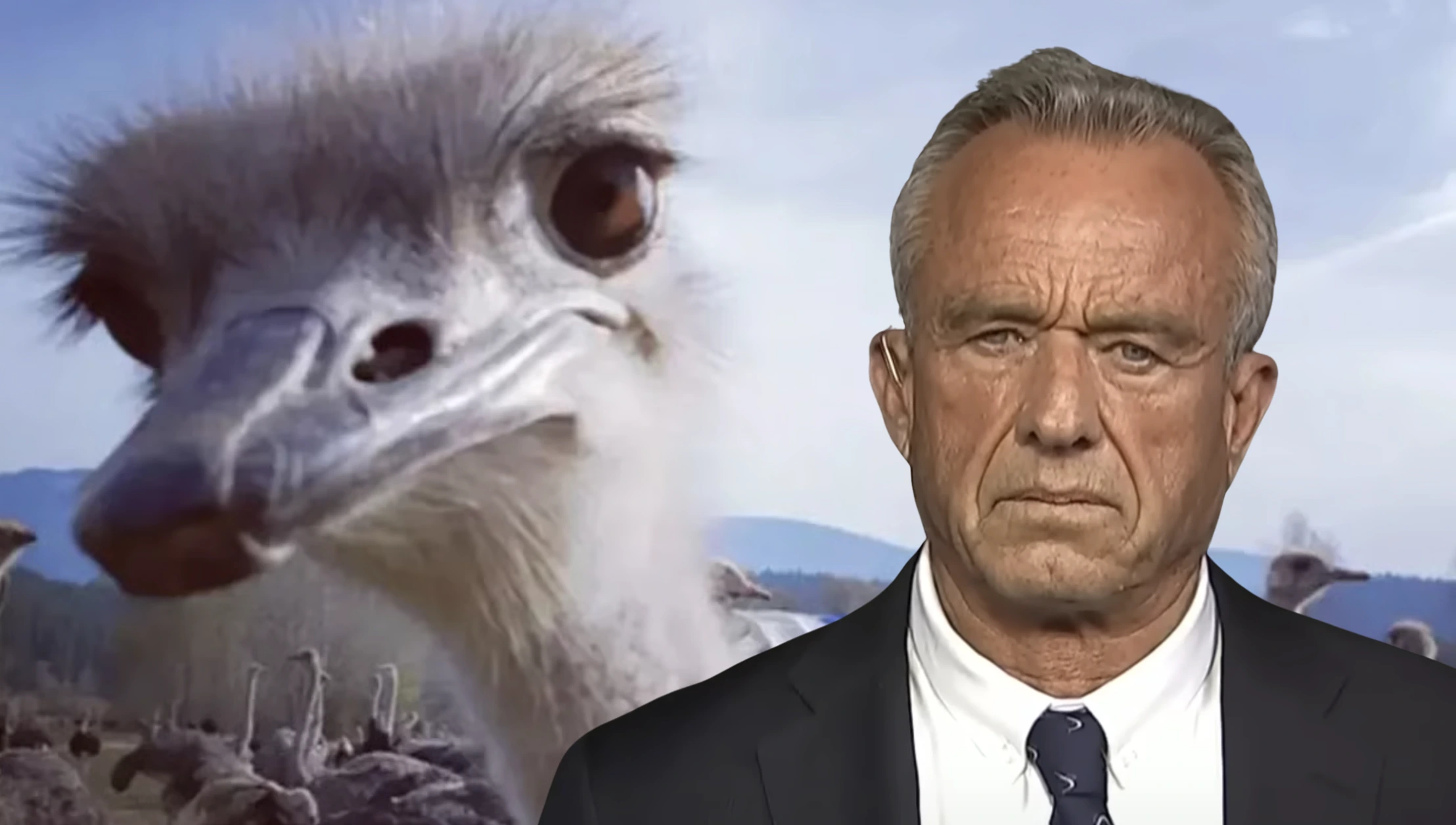 RFK Jr and an ostrich