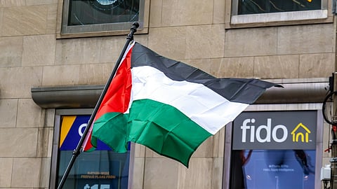 Palestine Flag
