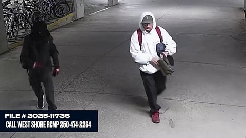 WATCH: Police seek help identifying suspects after Langford mailroom theft