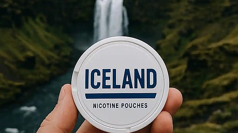Iceland Nicotine Pouch