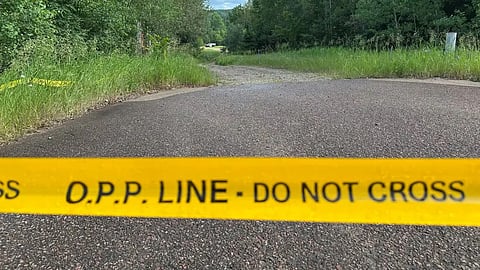 The 17-year-old charged in a violent assault on a Quadville, Ont. assault has appeared in court. 