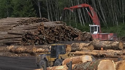 Forestry operation in BC