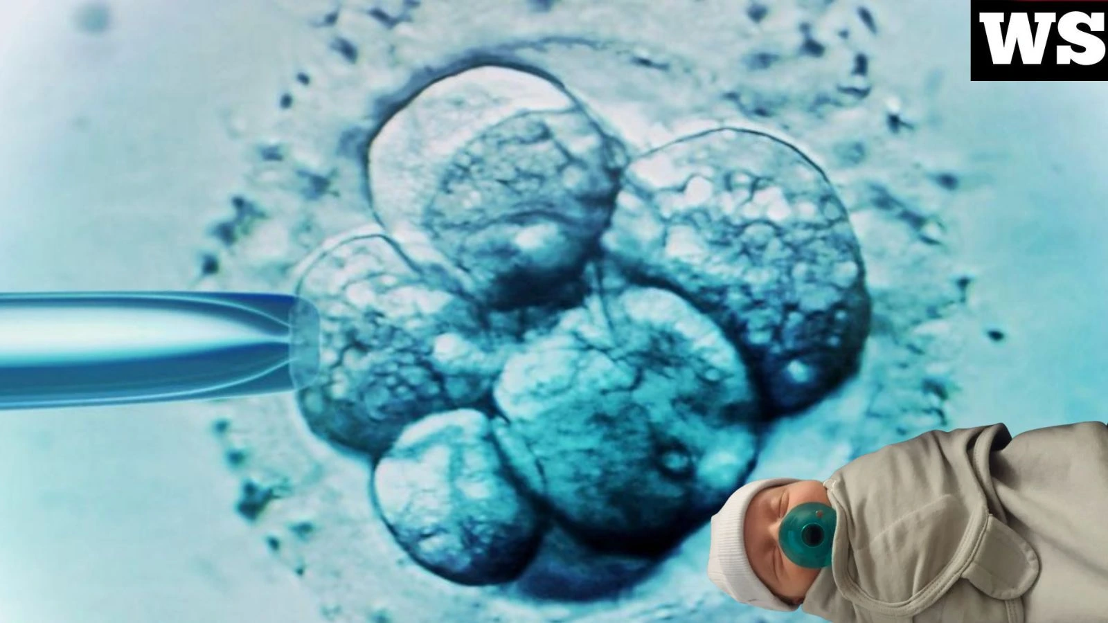 Embryo and baby Thaddeus