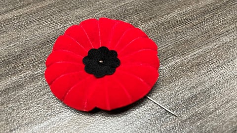 Poppy 
