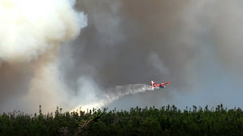 Newfoundland's largest wildfire still rages on. 