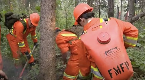 Minister says Canada too dependent on military for wildfire response