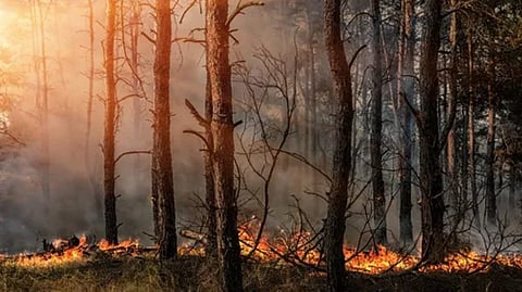 Wildfires in Manitoba and Saskatchewan cause nearly $300 million in insured losses

