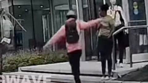 WATCH: Edmonton police seek help identifying witnesses in Jasper Ave. cellphone snatching
