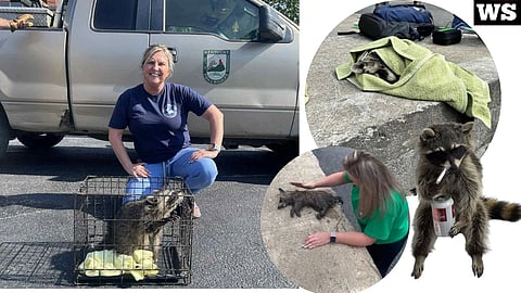 Nurse Misty Combs and drunk raccoon