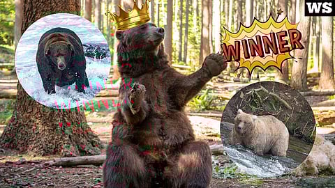 In the two frames: Grazer FBW winner in 2023 and 2024.