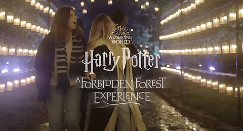 Vancouver city councillors call for cancellation of Harry Potter attraction over Rowling's stance on gender