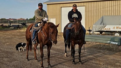 'Dangerous' bull round up in Southern Alberta