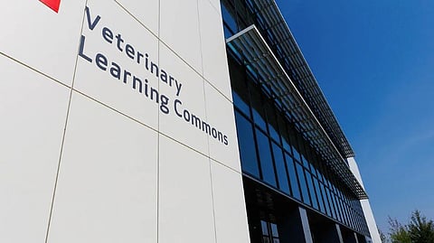 University of Calgary’s Veterinary Learning Commons
