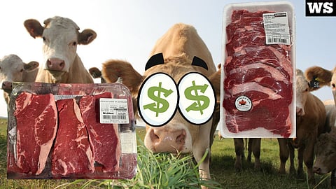 Beef prices, cow with money eyes