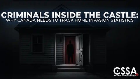 Criminals in the castle