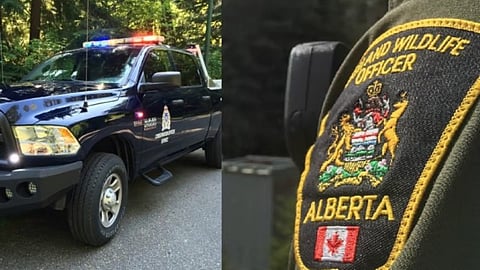 Alberta Fish and Wildlife Enforcement Services