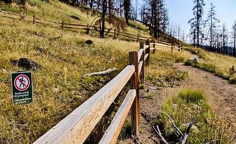 Jasper recovery drags on as trails and campgrounds remain closed

