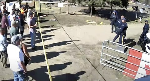 Universal Ostrich Farms