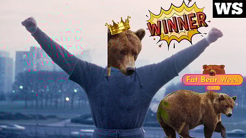 winner winner chicken dinner, Rocky, fattest bear