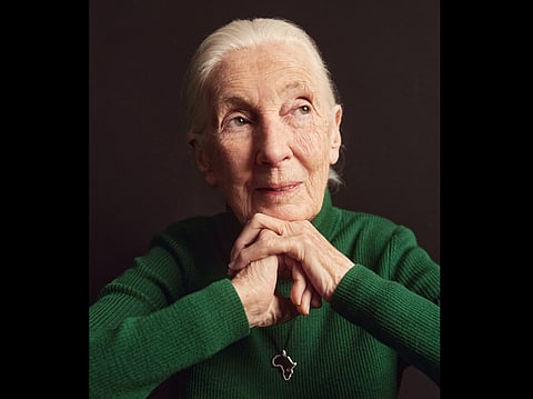 Jane Goodall