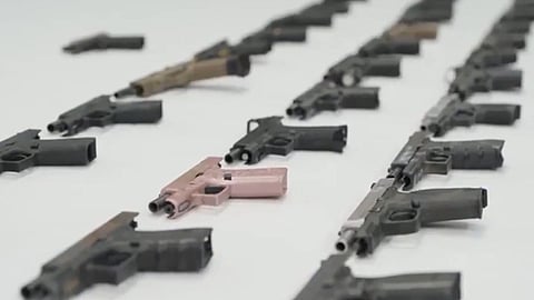 The guns seized by OPP from the Singhs