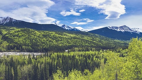 Alberta unveils Upper Smoky plan to protect environment and secure jobs

