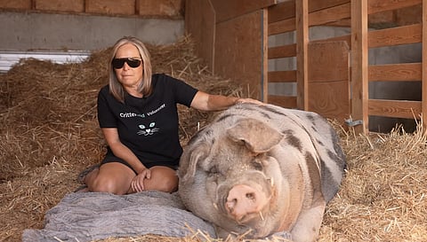 Critteraid President Lori Stewart