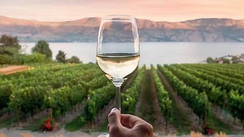 Kelowna wines