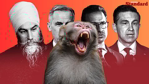 Political candidates, monkey