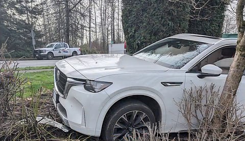 WATCH: Dramatic video shows Abbotsford police run stolen car off the road