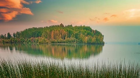 Have your say on South Athabasca land use
