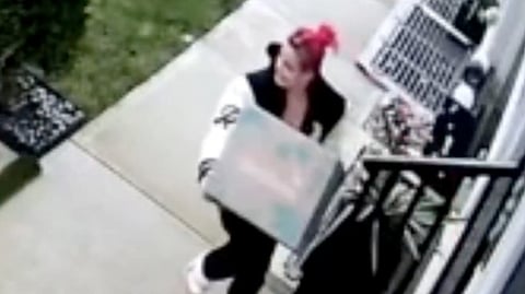 Porch pirate