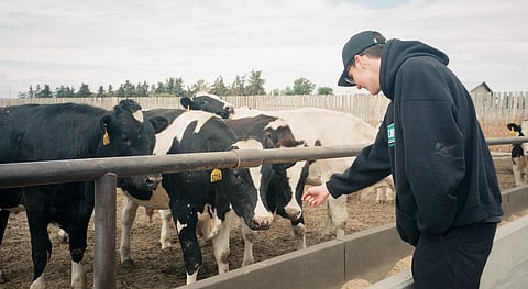 JEANES: Free trade for my people!