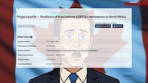 Shocked, global affairs project