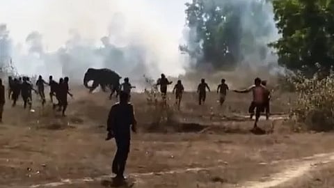 The elephant seen charging a crowd of onlookers in the north west of India