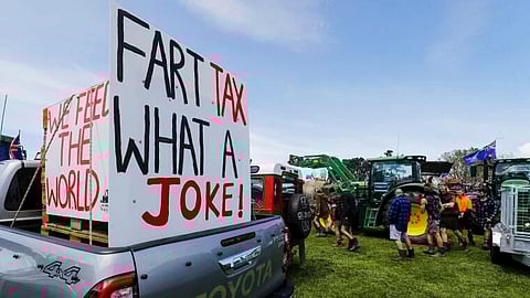 New Zealand farmers protest