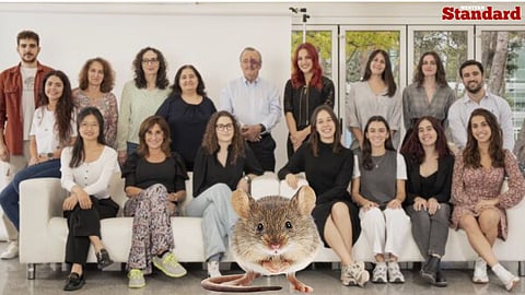 Team of scientists from the Spanish Cancer Research Centre 