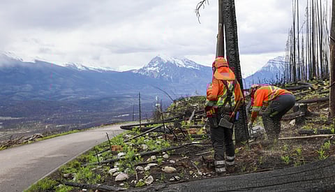 Winter roadwork to cause traffic delays near Jasper townsite through March