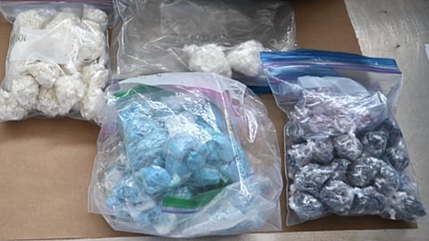 Edmonton police seize massive fentanyl and firearms stash, two charged