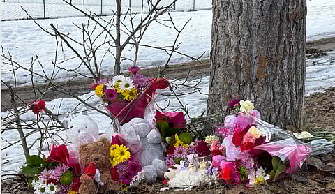 Flowers outside the Tumbler Ridge school