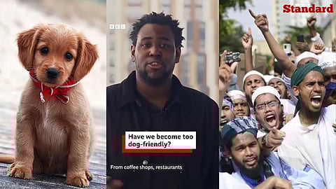 A new BBC advertisement questioning the growing number of dog-friendly spaces in the United Kingdom is going viral, sparking a wave of online backlash against the taxpayer-funded broadcaster.